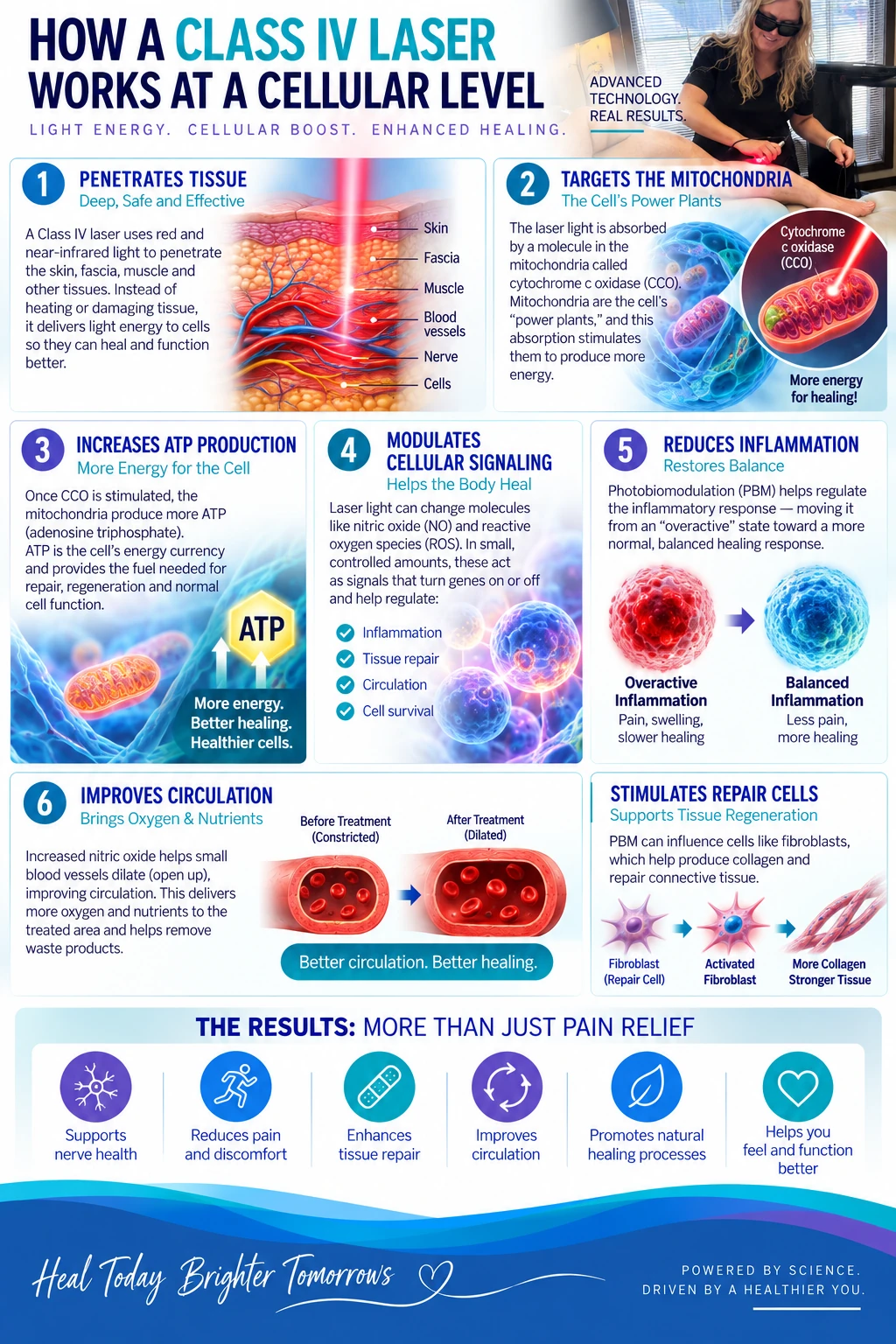 Infographic: how a Class IV laser works at a cellular level. Red and near-infrared light penetrates skin, fascia, muscle and nerve; it is absorbed by cytochrome c oxidase in the mitochondria; that stimulates ATP production, modulates cellular signalling, reduces inflammation, improves circulation by dilating blood vessels, and stimulates fibroblasts to repair connective tissue.