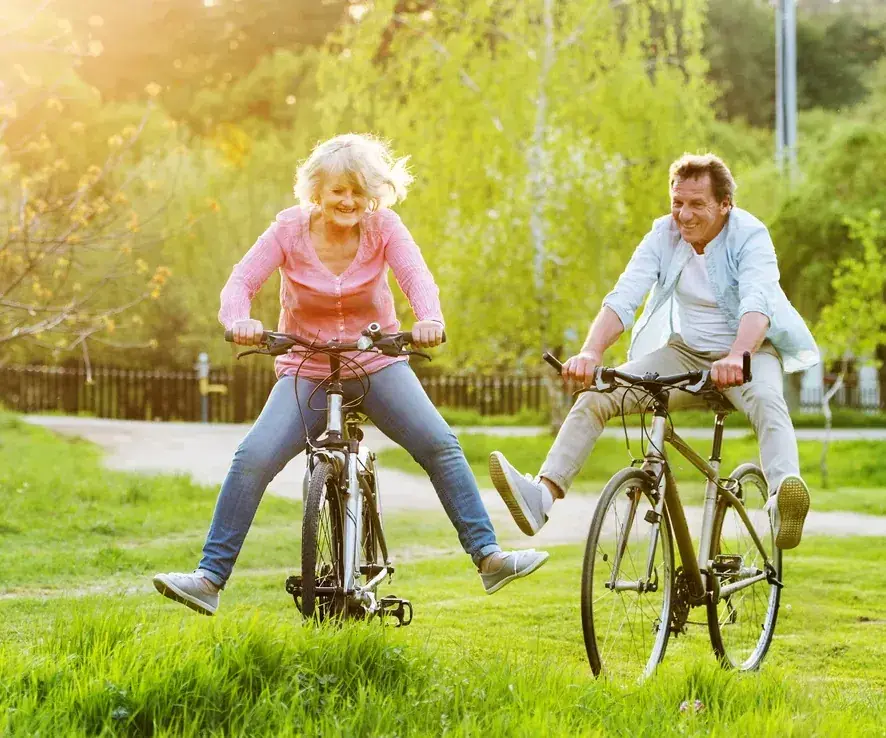 A couple riding bikes through a sunlit park, laughing with their feet off the pedals